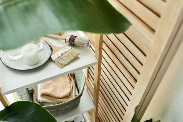 ¿Qué plantas de interior son más adecuadas para un hogar con mascotas?